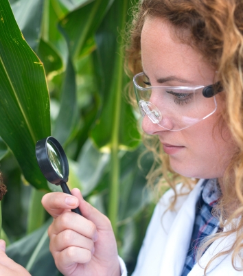 Gıda Güvenliği Denetimi