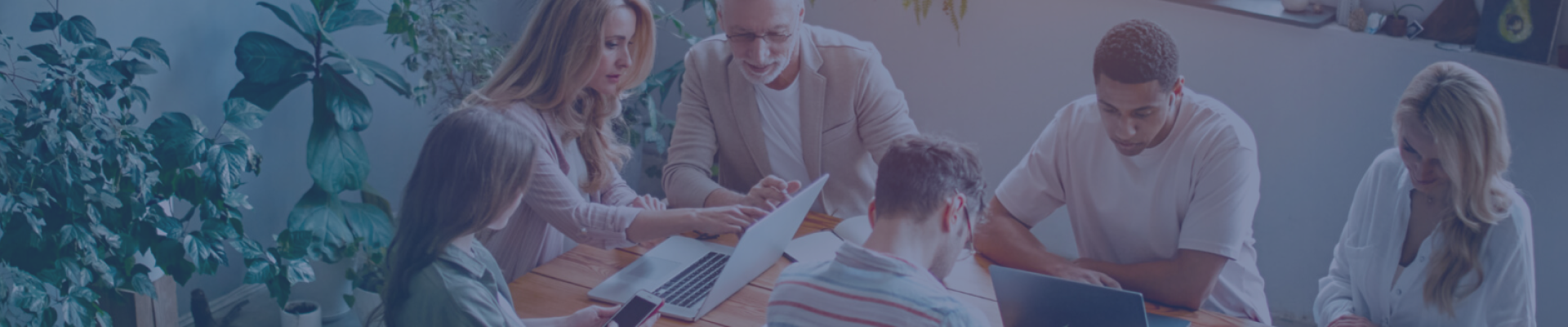 Yüksek(Dağcılık) Cam Silme Hizmeti